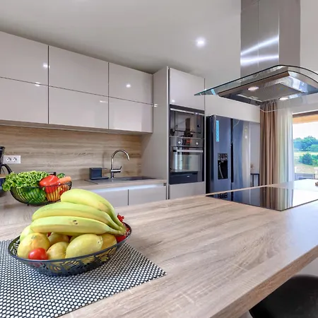 Villa Alena By Interhome Vizinada
