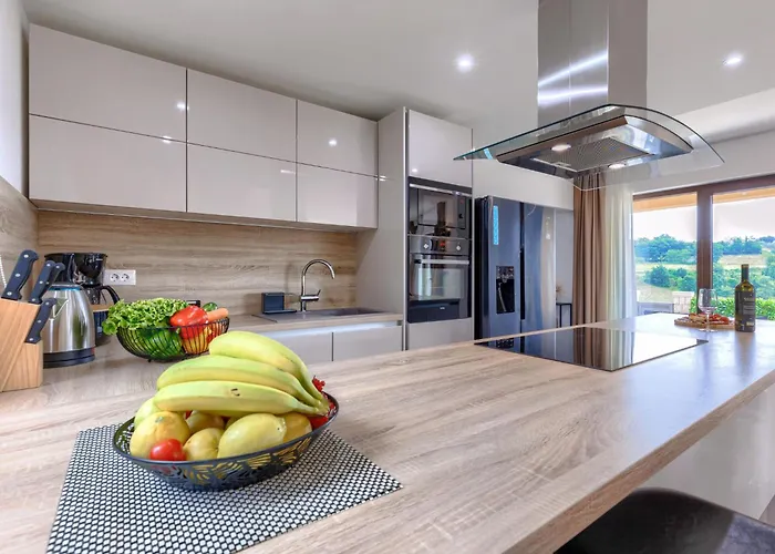 Villa Alena By Interhome Vižinada